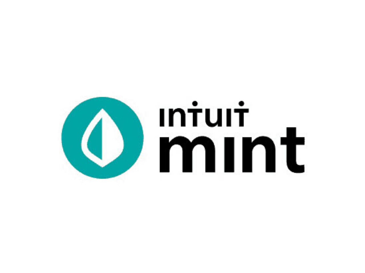 Mint Review